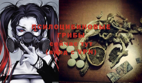 прущий лед Алексеевка